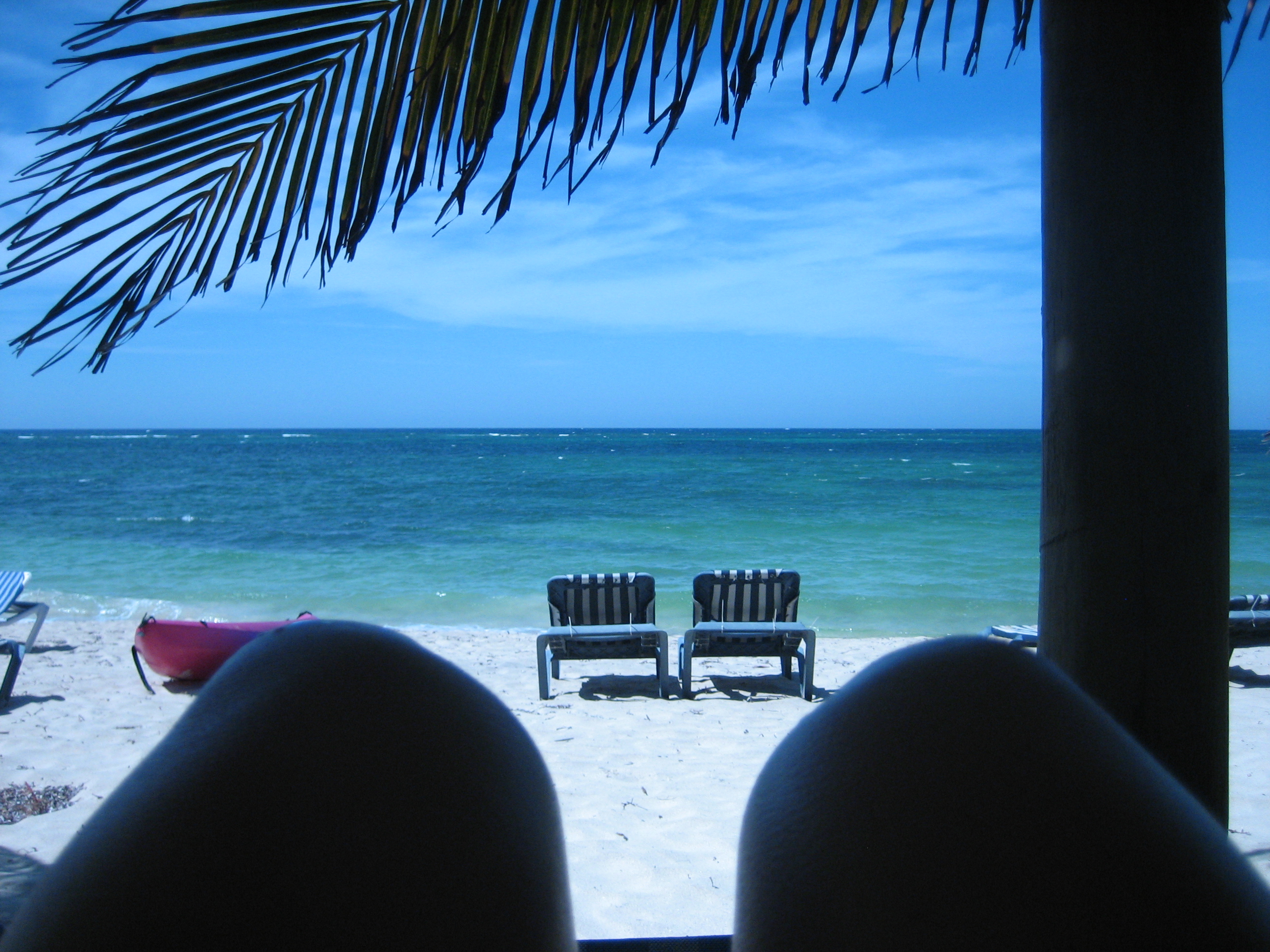 My view in Roatan, Honduras
