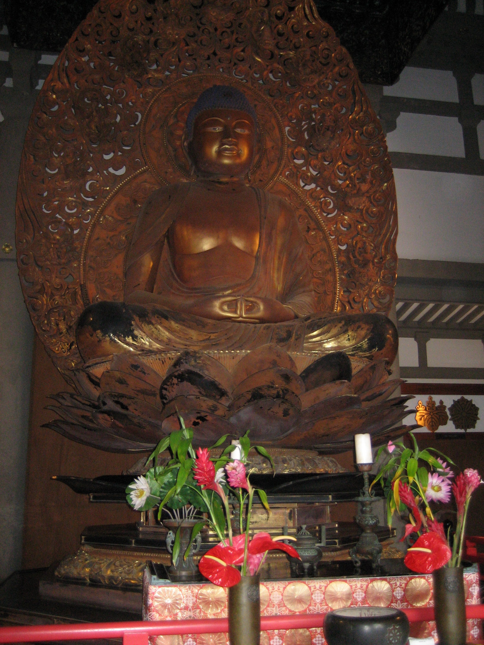 Buddha Buddha